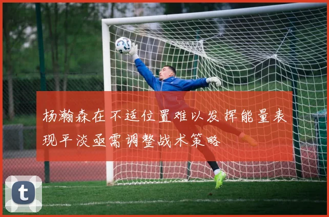 杨瀚森在不适位置难以发挥能量表现平淡亟需调整战术策略